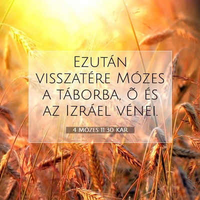 4 Mózes 11:30 Bibliai vers magyarázata