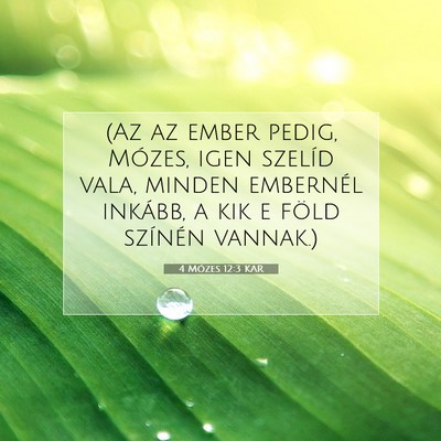 4 Mózes 12:3 Bibliai vers magyarázata