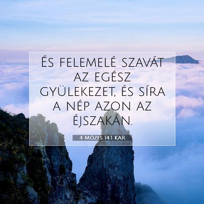 4 Mózes 14:1 Bibliai vers magyarázata