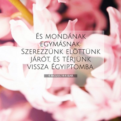 4 Mózes 14:4 Bibliai vers magyarázata