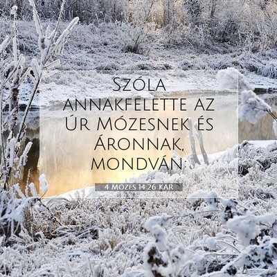 4 Mózes 14:26 Bibliai vers magyarázata