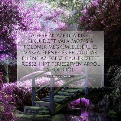 4 Mózes 14:36 Bibliai vers magyarázata