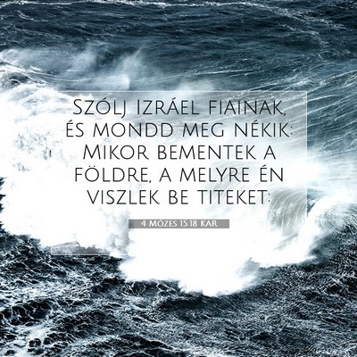 4 Mózes 15:18 Bibliai vers magyarázata