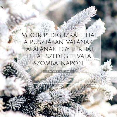 4 Mózes 15:32 Bibliai vers magyarázata