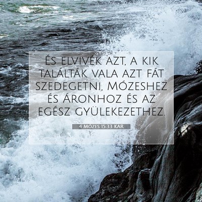 4 Mózes 15:33 Bibliai vers magyarázata