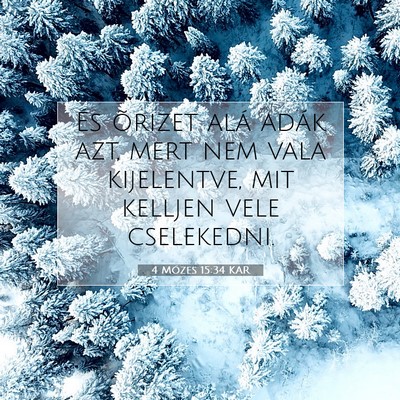 4 Mózes 15:34 Bibliai vers magyarázata