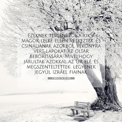 4 Mózes 16:38 Bibliai vers magyarázata