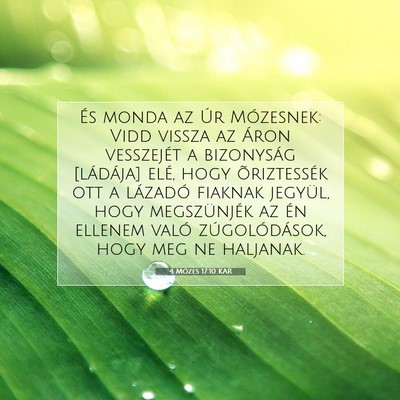 4 Mózes 17:10 Bibliai vers magyarázata