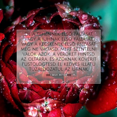 4 Mózes 18:17 Bibliai vers magyarázata