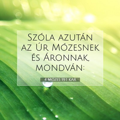 4 Mózes 19:1 Bibliai vers magyarázata