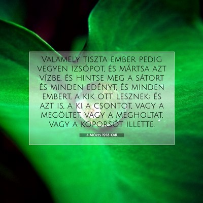 4 Mózes 19:18 Bibliai vers magyarázata
