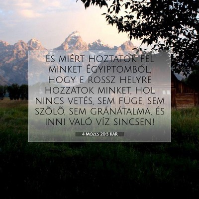 4 Mózes 20:5 Bibliai vers magyarázata