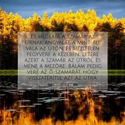 4 Mózes 22:23 Bibliai vers magyarázata