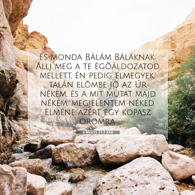 4 Mózes 23:3 Bibliai vers magyarázata