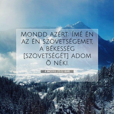 4 Mózes 25:12 Bibliai vers magyarázata