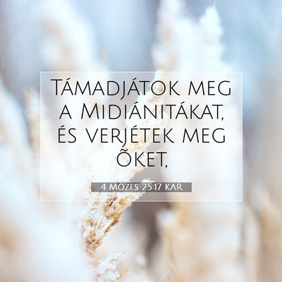4 Mózes 25:17 Bibliai vers magyarázata