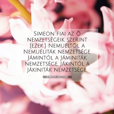 4 Mózes 26:12 Bibliai vers magyarázata