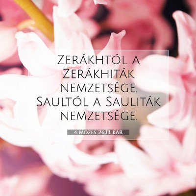 4 Mózes 26:13 Bibliai vers magyarázata