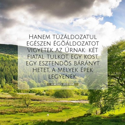 4 Mózes 28:19 Bibliai vers magyarázata