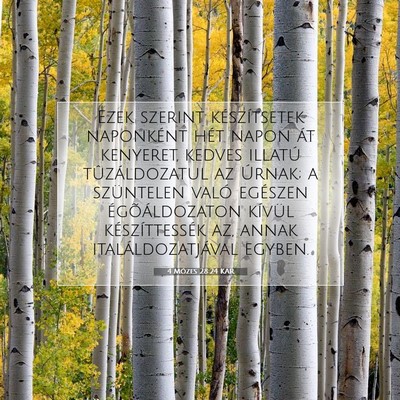 4 Mózes 28:24 Bibliai vers magyarázata