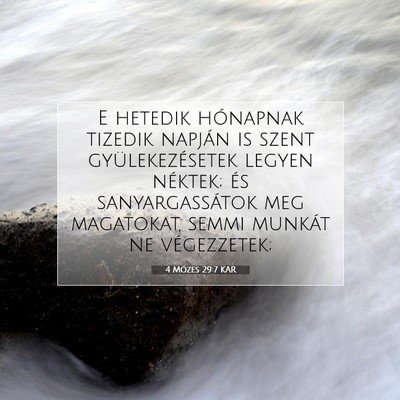 4 Mózes 29:7 Bibliai vers magyarázata