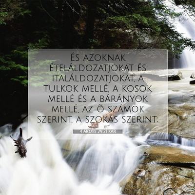 4 Mózes 29:21 Bibliai vers magyarázata