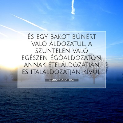 4 Mózes 29:28 Bibliai vers magyarázata
