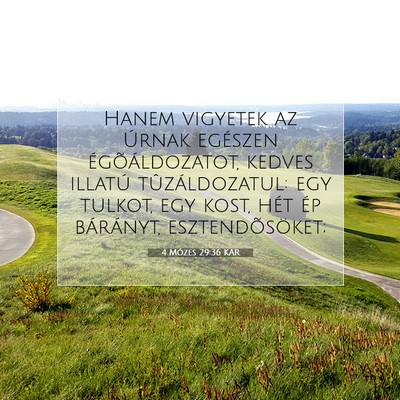 4 Mózes 29:36 Bibliai vers magyarázata
