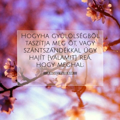 4 Mózes 35:20 Bibliai vers magyarázata