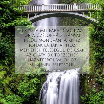 4 Mózes 36:6 Bibliai vers magyarázata