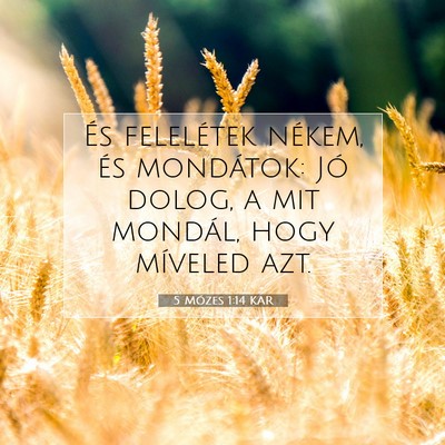 5 Mózes 1:14 Bibliai vers magyarázata