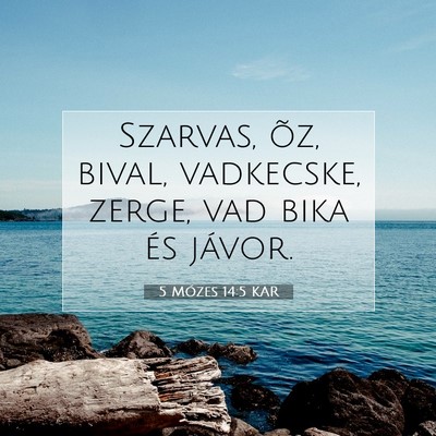 5 Mózes 14:5 KAR Bibliai verskép