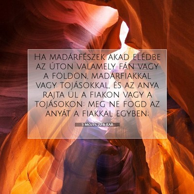5 Mózes 22:6 KAR Bibliai verskép