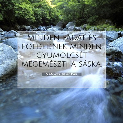 5 Mózes 28:42 KAR Bibliai verskép
