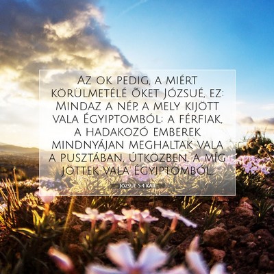 Józsué 5:4 Bibliai vers magyarázata