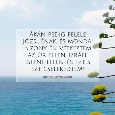 Józsué 7:20 Bibliai vers magyarázata
