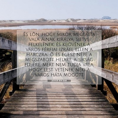 Józsué 8:14 Bibliai vers magyarázata