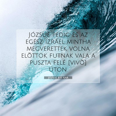 Józsué 8:15 Bibliai vers magyarázata