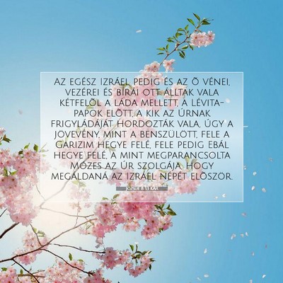 Józsué 8:33 Bibliai vers magyarázata