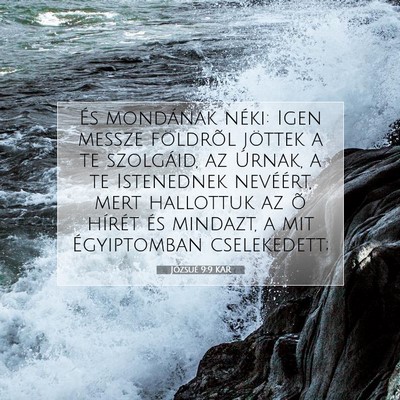 Józsué 9:9 Bibliai vers magyarázata