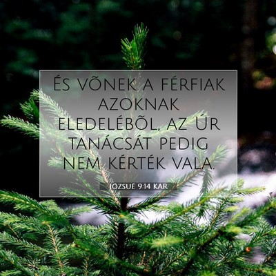 Józsué 9:14 Bibliai vers magyarázata