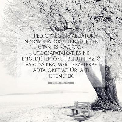 Józsué 10:19 Bibliai vers magyarázata
