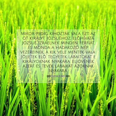 Józsué 10:24 Bibliai vers magyarázata