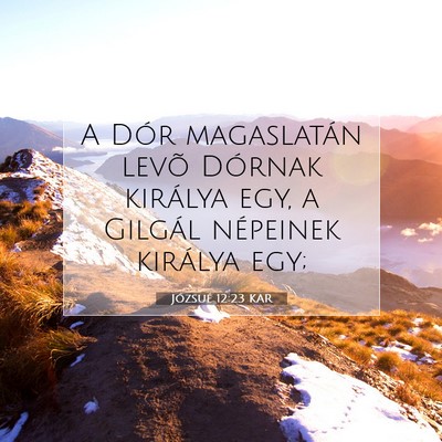 Józsué 12:23 Bibliai vers magyarázata