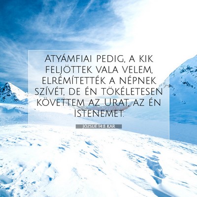 Józsué 14:8 KAR Bibliai verskép