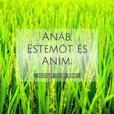 Józsué 15:50 Bibliai vers magyarázata