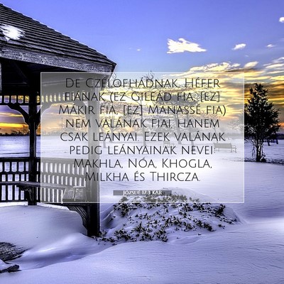 Józsué 17:3 Bibliai vers magyarázata