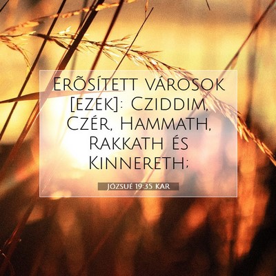 Józsué 19:35 Bibliai vers magyarázata