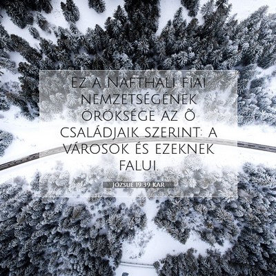 Józsué 19:39 Bibliai vers magyarázata