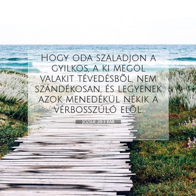 Józsué 20:3 Bibliai vers magyarázata